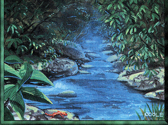 Stream of Life
