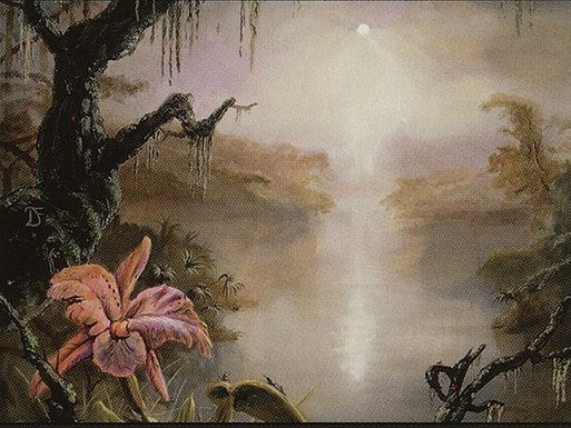 Swamp (Spanish) - 