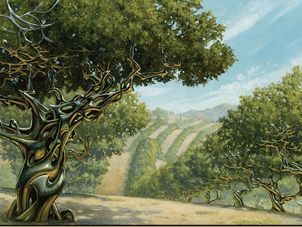 Exotic Orchard (OTC)
