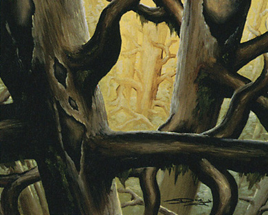 Forest (Ledge)